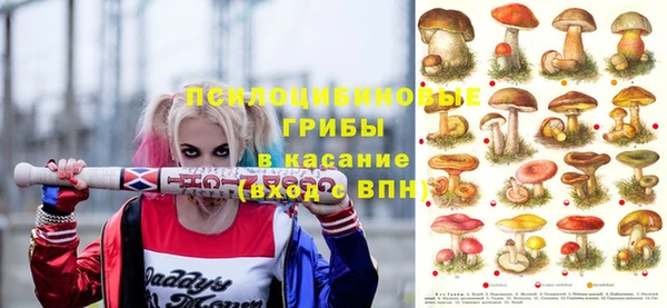 сатива Алексин