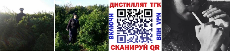 Дистиллят ТГК вейп с тгк  купить наркотики сайты  Рубцовск 
