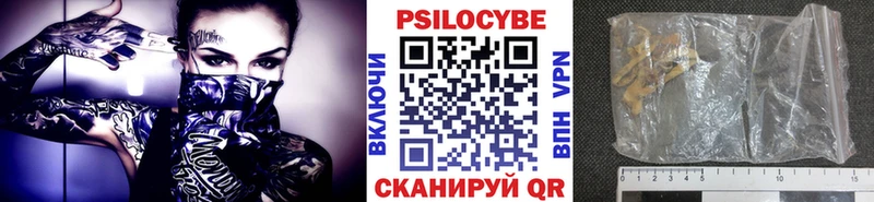 закладка  кракен ONION  Псилоцибиновые грибы мухоморы  Рубцовск 